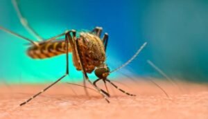 SOEHPON Partners with Lagos State for Yellow Fever Vaccination Campaign